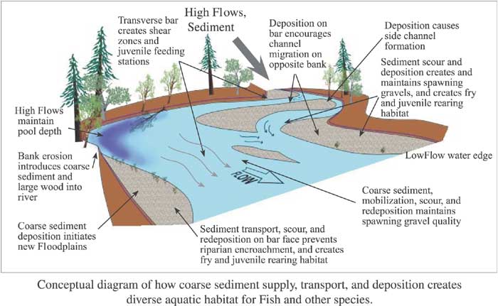 Sediment Diagram