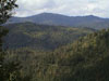 View from Browns Mountain towards Community
           Forest (Weaverville is to the right).