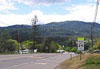 View of the forest from Highway 3 at Mulligan Street.